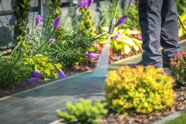 Best Winterizing Services  in Delta, UT