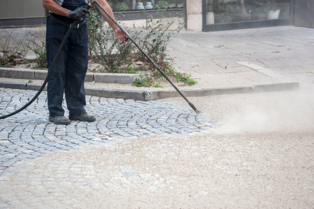 Best Animal Enclosure Cleaning  in Delta, UT